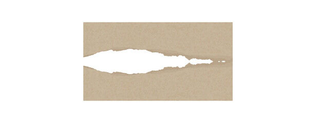 Torn paper collection for designs 