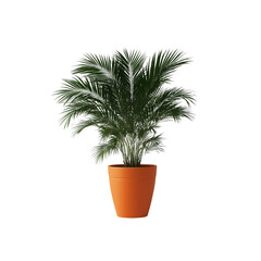 Obraz premium Potted Palm Plant in Orange Pot isolated on a transparent background