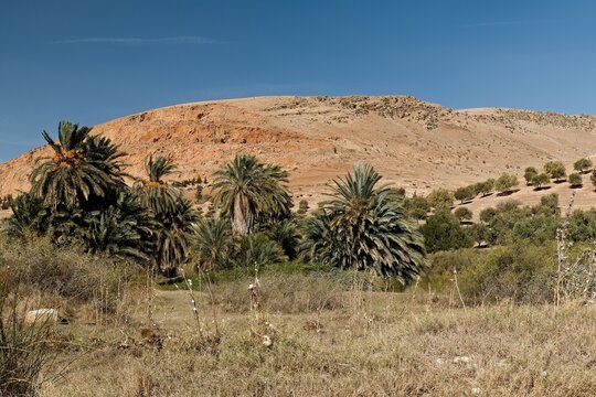 View of the landscape around the Bulla Regia archaeological site near Jendouba city. Tunisia. Africa.