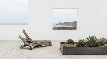 A whitewashed room presents distant coastal vista through a window. Weathered driftwood sits on the tiled floor alongside a metal planter filled with succulents. A serene and modern space.