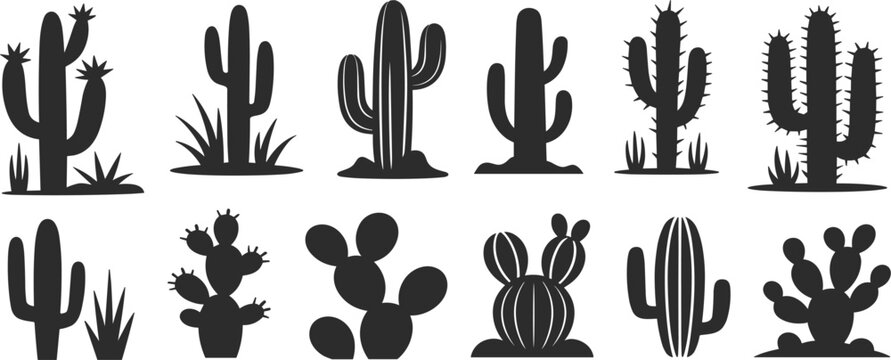 Set of diverse cactus silhouettes in various shapes including desert prickly pear and saguaro vector