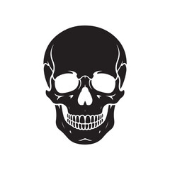 Fototapeta premium Skull illustration (2).eps