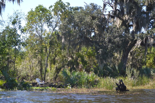 Kayaking