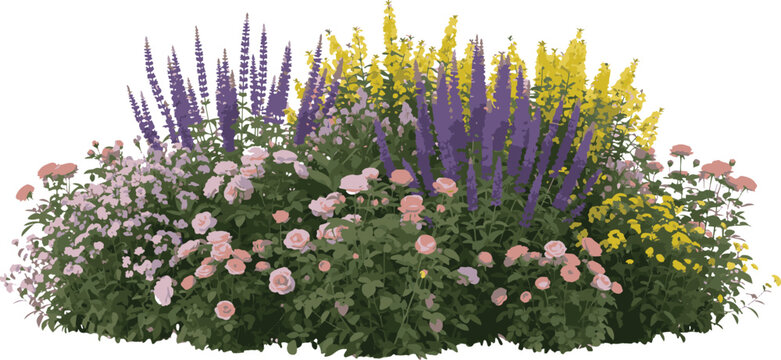A beautiful vector illustration of a vibrant flower bed with pink roses and purple flowers