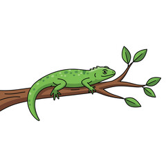 Fototapeta premium Green Lizard on Tree Branch