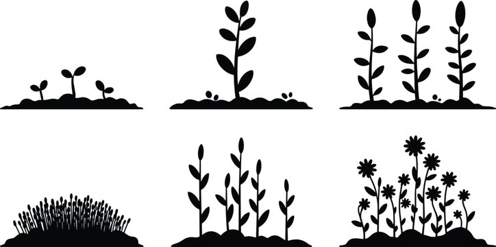Plant growth silhouette collection showing seedling, sprouting plants, mature stems, grass, and flowering stages for gardening, agriculture concepts, nature design, and botanical illustration