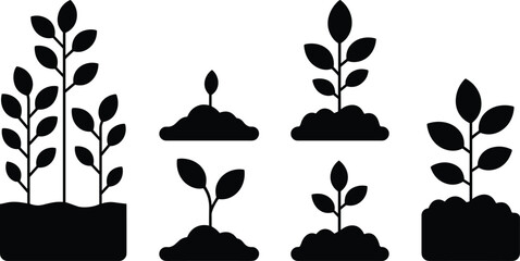 Plant growth silhouette stages illustration showing seedling, sprout, young plant, and mature vegetation development for gardening, agriculture education, botanical design, and nature concepts © Sharon 