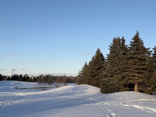 winter landscape with snow