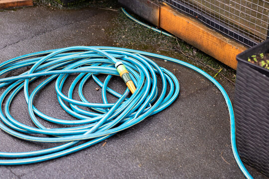 Gardener prepares to water potted plants beside rainglazed patio and coiled hose