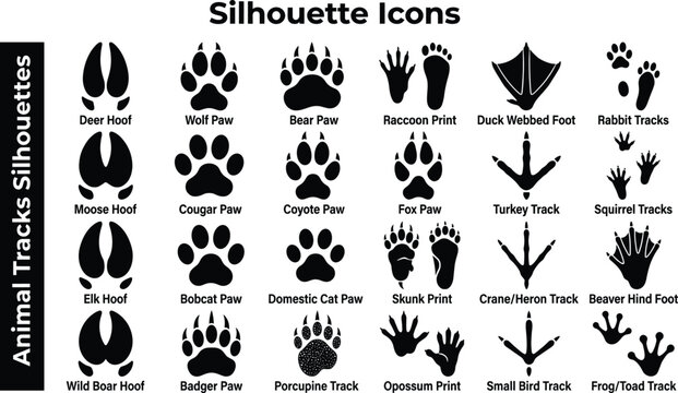 Animal Tracks Silhouette Vector Set - Paw Prints, Hoof Marks, and Footprint Trail Icons
