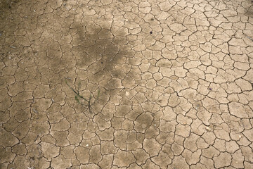 Dry, cracked earth texture representing drought, water shortage, and desertification caused by global warming and climate change