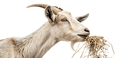 Ultra realistic goat portrait, medium close-up, goat calmly chewing hay, neutral relaxed expression, small pieces of dry hay falling gently around the goat, frozen mid-air, sharp focus, detailed fur t