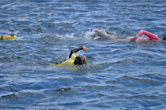 group of athletes swimming in open water competition, swimmers with safety buoys during ocean race, front crawl swimming training in turquoise sea, competitive aquatic sports and endurance training