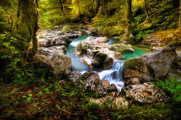 waterfall in the forest