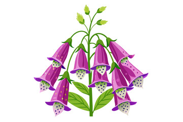 Stylized Foxglove Cluster with Speckled Bell Shaped Blooms