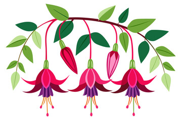 Stylized Fuchsia Blooms Dangling on Thin Branches