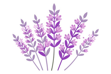 Stylized Heather Blossoms in Pale Purple Sprigs on White