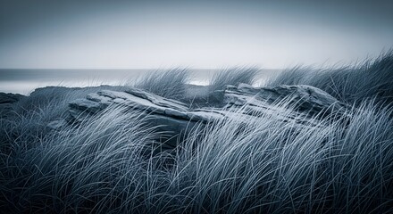 Obraz premium Monochromatic capture of a rugged coastline where wind-swept beach grass frames the distant, calm sea under a soft, diffused light, evoking a sense of tranquility and natural beauty