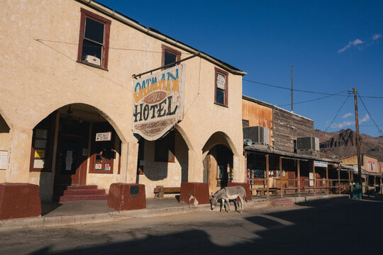 Burros roam the town of Oatman, California, September 2020