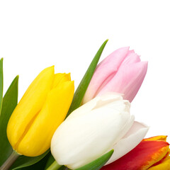 Naklejka premium Beautiful bouquet of pink, white, and yellow tulips. Fresh and natural flowers perfect for spring gifts and Easter.