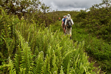 travelers hiking along the rim of Volcán Sierra Negra on Isabela Island, the largest island in the...