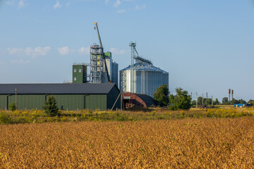Fototapeta premium Silos and a granary stand in a field of grain under a clear sky. Storage facilities support local farming and grain production activities