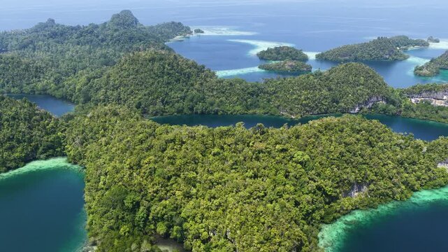 Shallow coral reefs fringe the beautiful islands of Pef, Raja Ampat, Indonesia. This region harbors spectacular marine biological diversity and is a popular destination for divers and snorkelers.