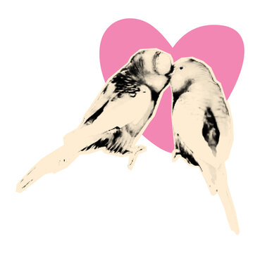 Romantic love and Valentines day collage element. Two budgie parrots birds kissing against pink heart. Modern retro vector illustration for mixed media design isolated on transparent background