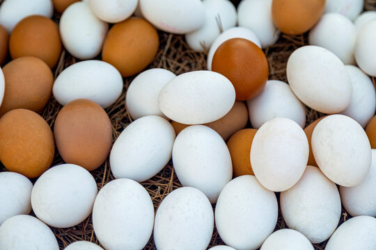 Brown and white eggs piled on a nest of straw