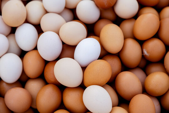 Close-up of assorted brown and white eggs