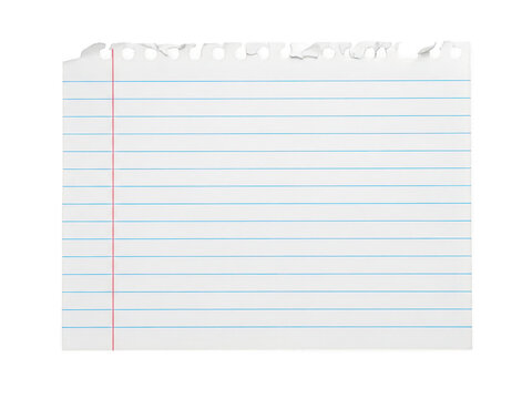 A piece of lined notebook paper with torn bottom and top edges isolated on transparent background