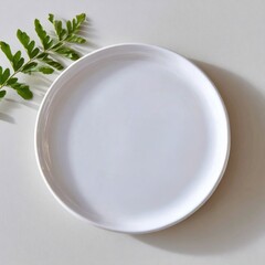 Minimalist white ceramic plate on pink background