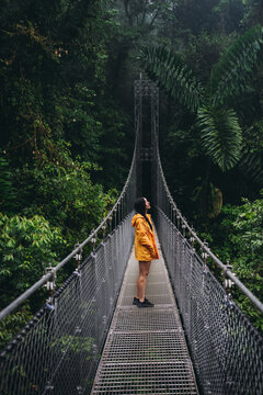 Exploring Costa Rica's lush and mysterious rainforest bridge