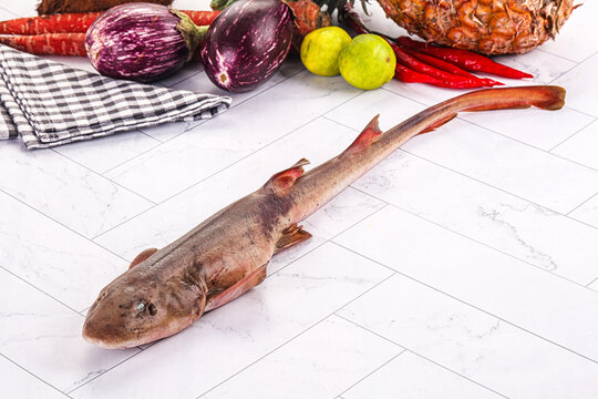 Raw indian catshark for cooking