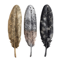 Metallic Feathers in Luxurious Texture with Dark and Gold Tones on Transparent Background for Luxury Branding