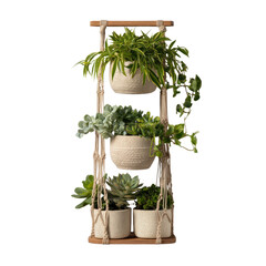 Indoor plants on wooden macrame planter with lush green foliage in soft natural lighting for home decor