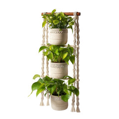 Macrame Plant Hanger with Potted Plants in Bohemian Style with Soft Natural Lighting for Home Decor