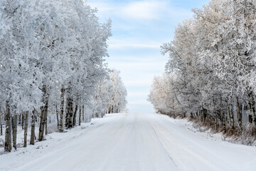Obraz premium Straight snow-covered country road
