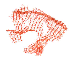 torn red plastic fruit net flying, bag isolated on white background and texture, design element, transparency