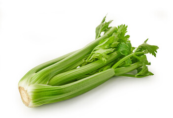 Fresh celery on white background