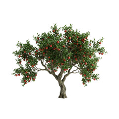 Fototapeta premium Lush apple tree with ripe red apples on branches