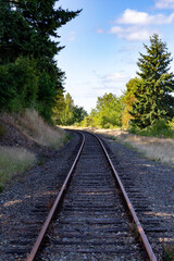 Fototapeta premium Curving Railroad Through Forest