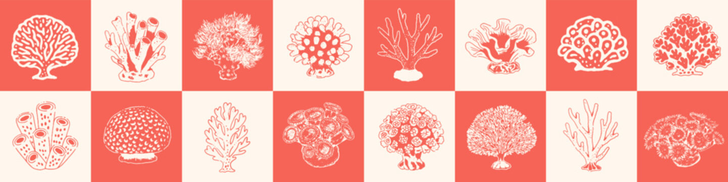 Large set of hand drawn coral illustrations. Isolated coral elements for prints, posters, packaging, branding, decor and educational projects.