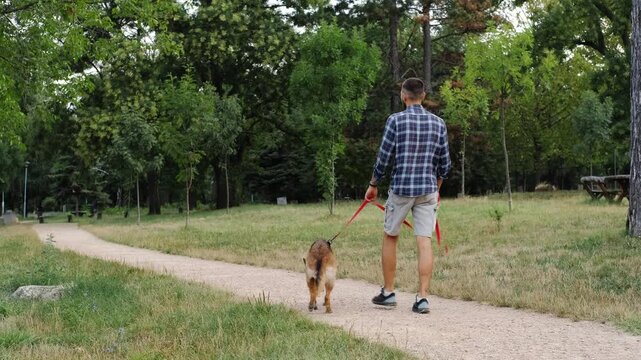 A young man walks with a German Shepherd along a quiet park path surrounded by summer greenery. The footage shows calm outdoor activity and the bond between a person and a dog. Rear view