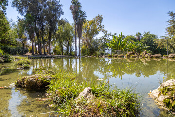 Low angle view of decorative pond with reflections of palm trees and lush greenery in Mehmet Manavoglu Park. Scenic urban garden landscape with clear water and tropical plants. , Antalya, Turkey