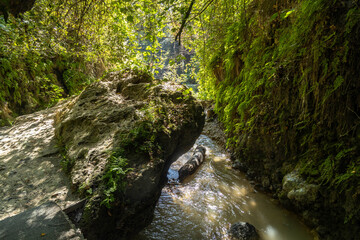 Low angle view of mountain stream flowing past mossy rocks and green fern walls in Gizlikent Canyon. Scenic hiking trail in shady limestone gorge. September, Turkey.