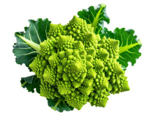 Romanesco broccoli head isolated on transparent background