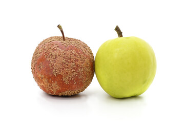 Fresh green apple and rotten brown apple isolated on a white background.