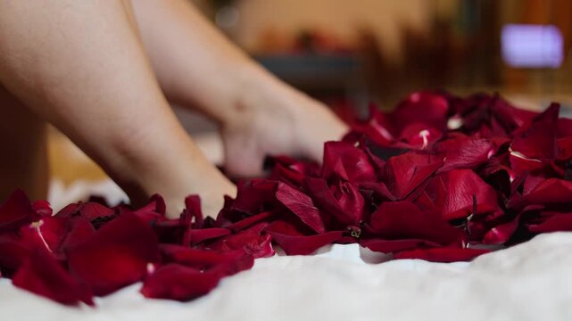 4K video close up. 60 fps. White woman in hotel bed room. Bare female smooth shaved legs move, wiggle, lift, stir, kick red rose petals. Concept of love, wedding, marriage, Valentine's day, holiday