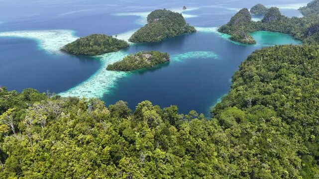 Shallow coral reefs fringe the beautiful islands of Pef, Raja Ampat, Indonesia. This region harbors spectacular marine biological diversity and is a popular destination for divers and snorkelers.